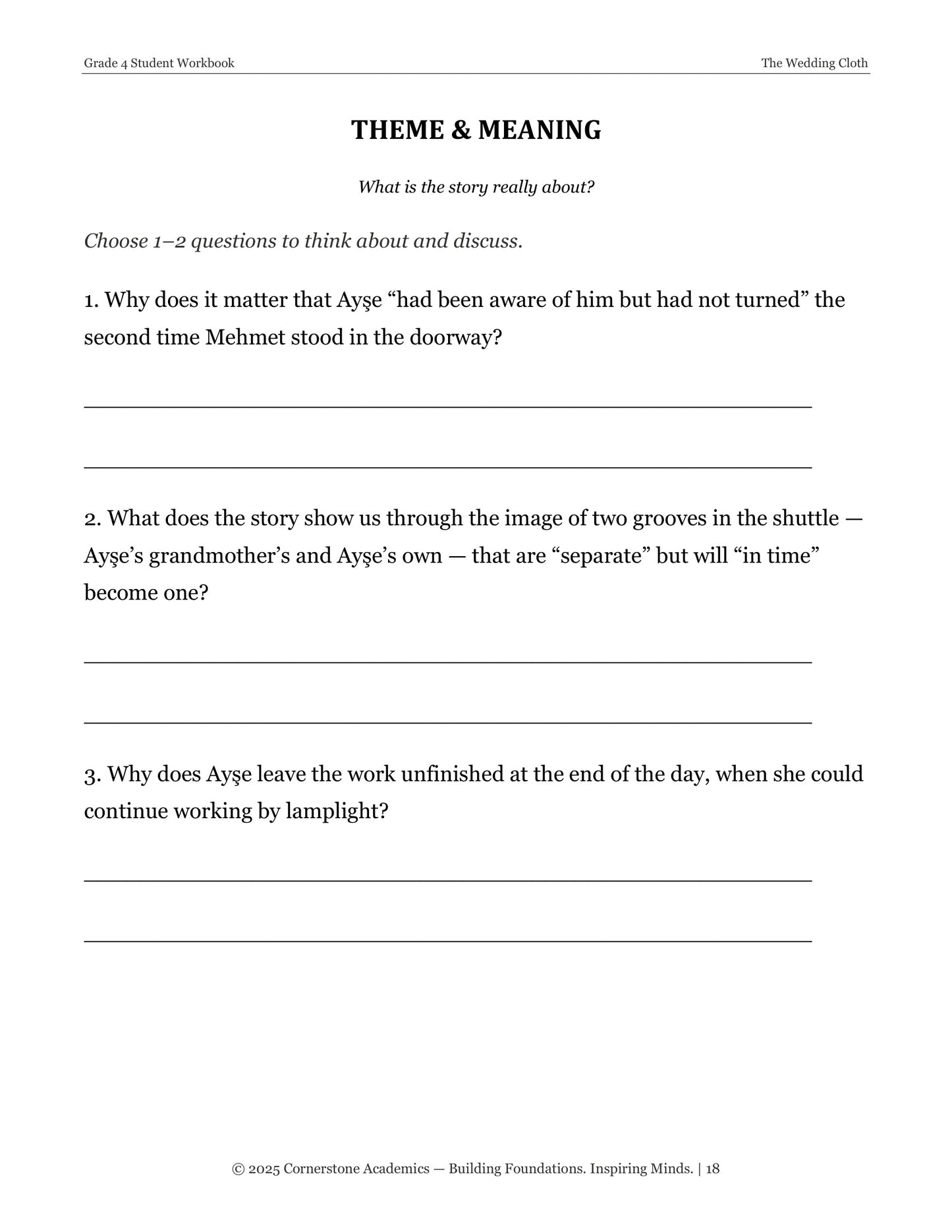 Theme and Meaning questions page from The Wedding Cloth, Grade 4 literature packet