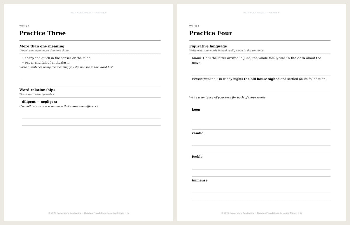Rich Vocabulary, Grade 6 - image 5