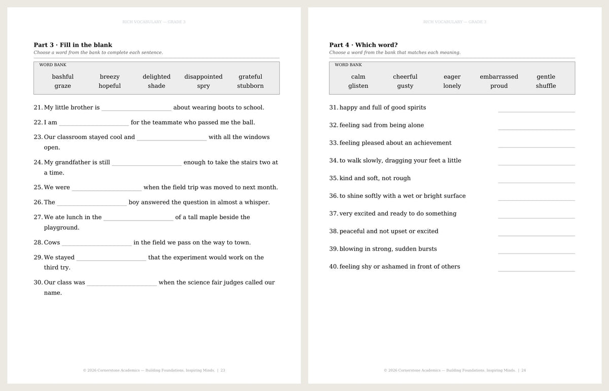 Rich Vocabulary, Grade 3 - image 7