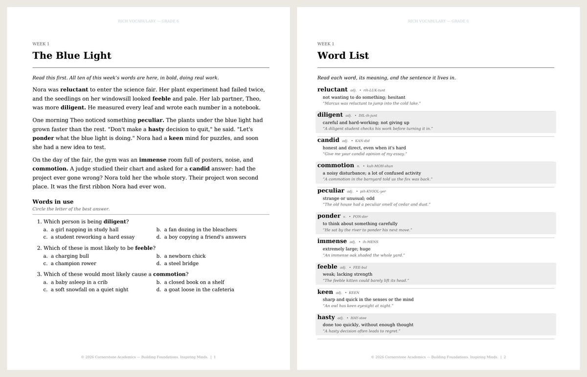 Rich Vocabulary, Grade 6 - image 3