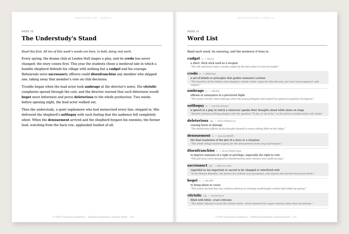 Rich Vocabulary, Grade 11 - image 2