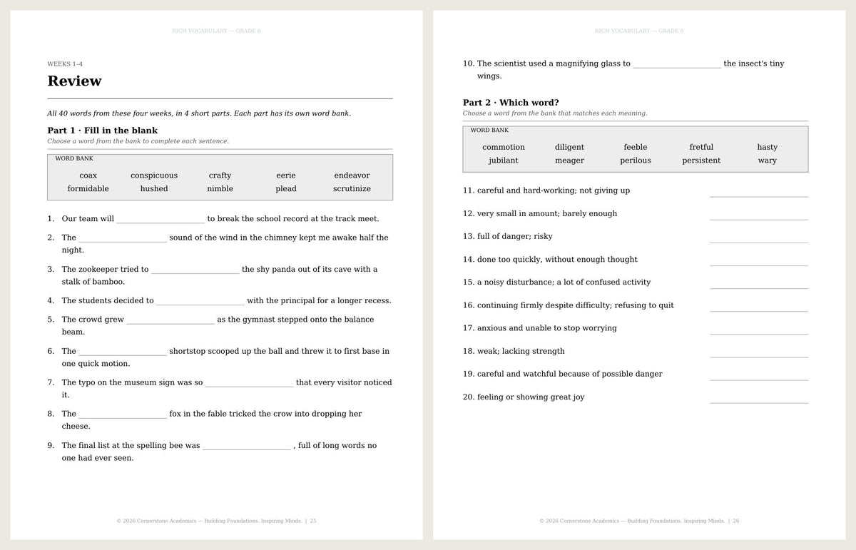 Rich Vocabulary, Grade 6 - image 6