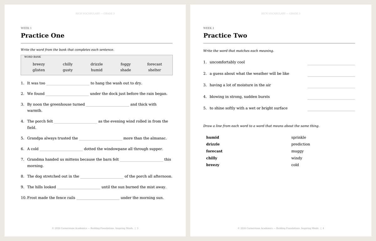 Rich Vocabulary, Grade 3 - image 4