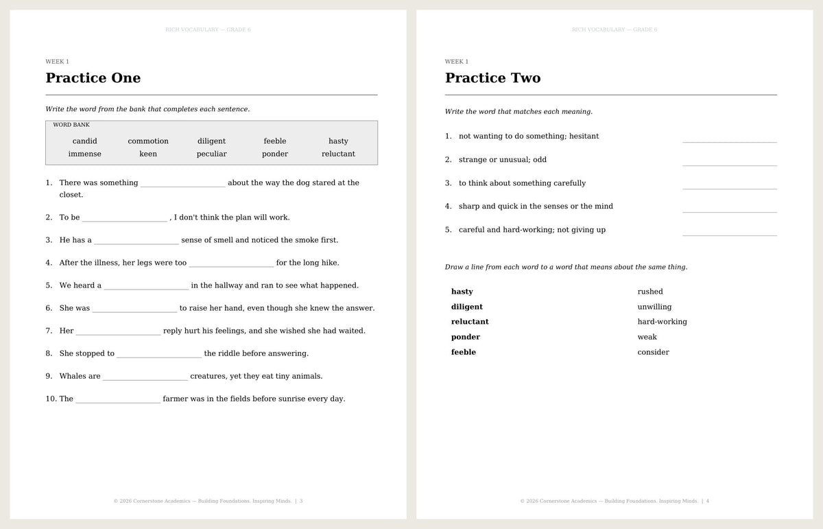 Rich Vocabulary, Grade 6 - image 4