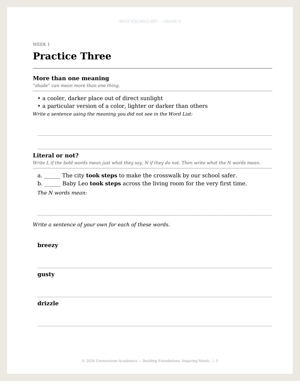 Rich Vocabulary, Grade 3 - image 5