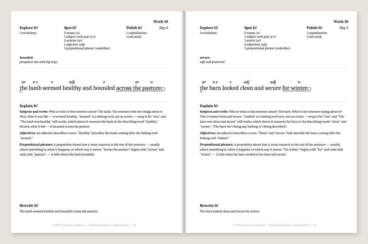 Grade 3 Grammar: First Light Complete Set (B & W) — Week 10, Days 3–4