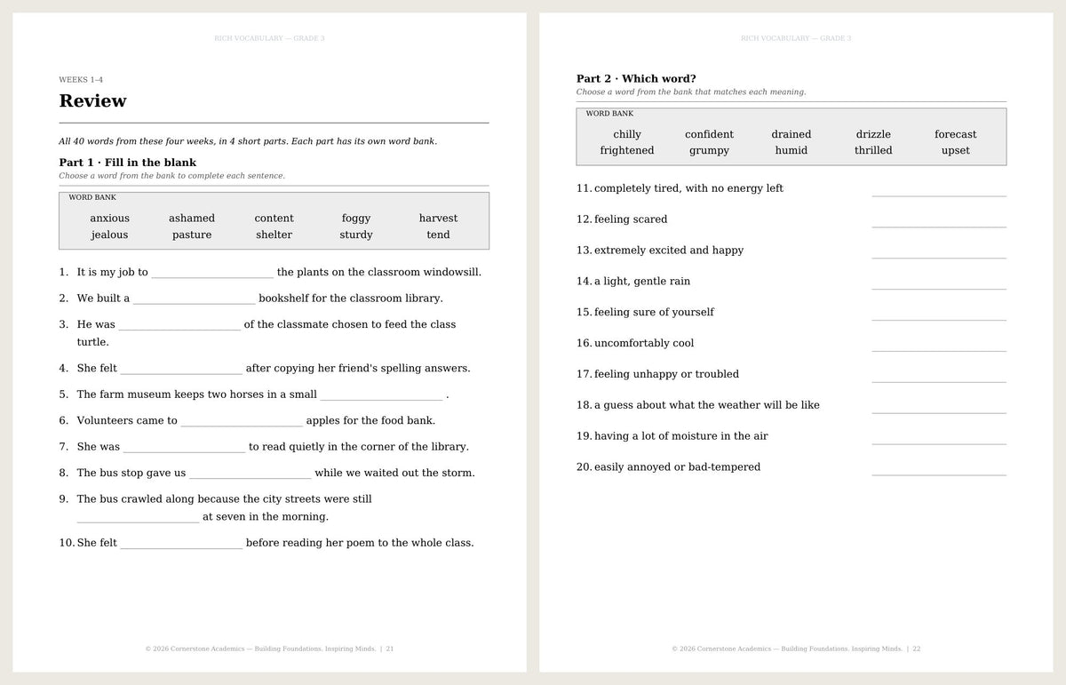 Rich Vocabulary, Grade 3 - image 6