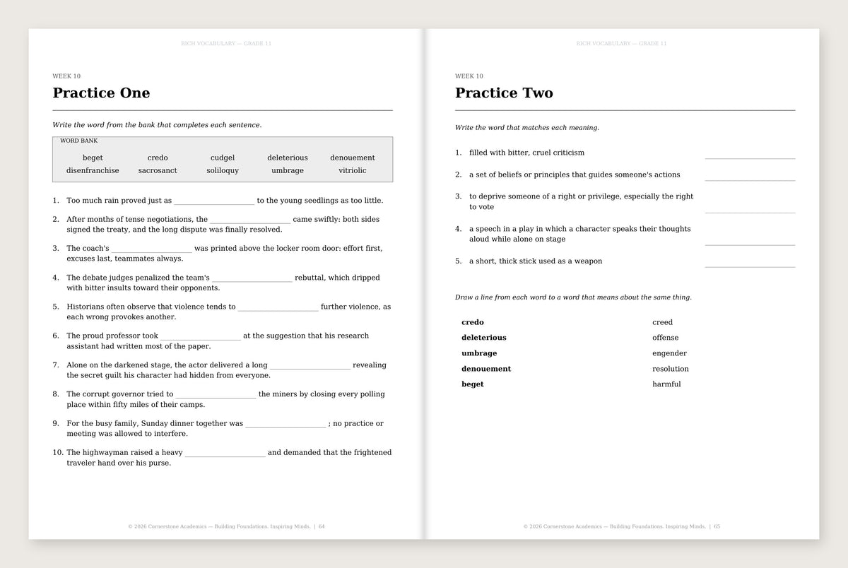 Rich Vocabulary, Grade 11 - image 3