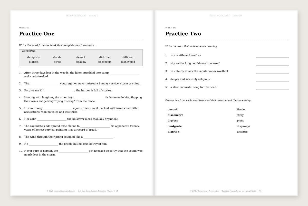 Rich Vocabulary, Grade 9 - image 3