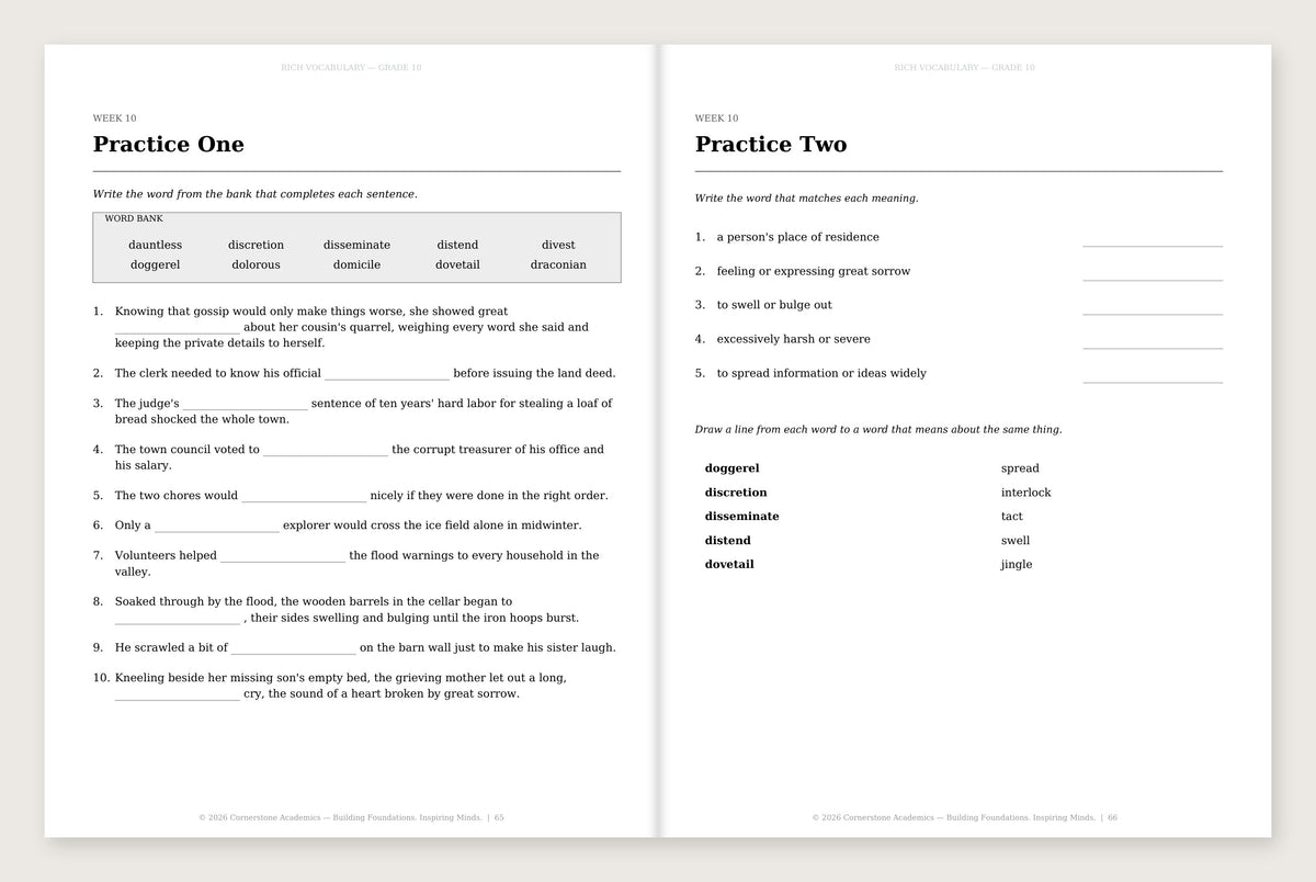 Rich Vocabulary, Grade 10 - image 3